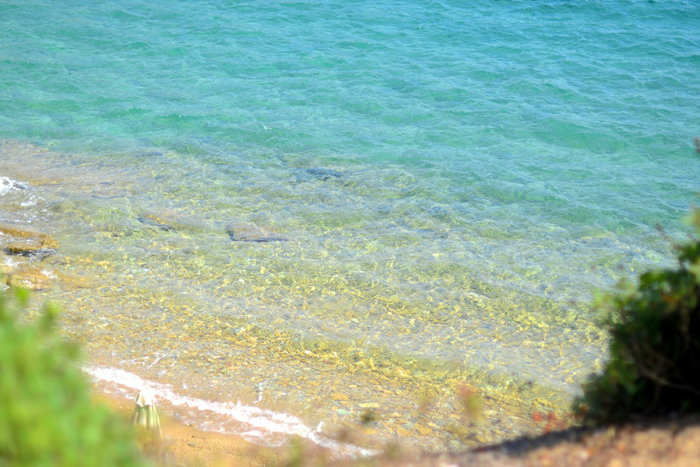 upl55a7abe75dce3 | Lamianow.gr