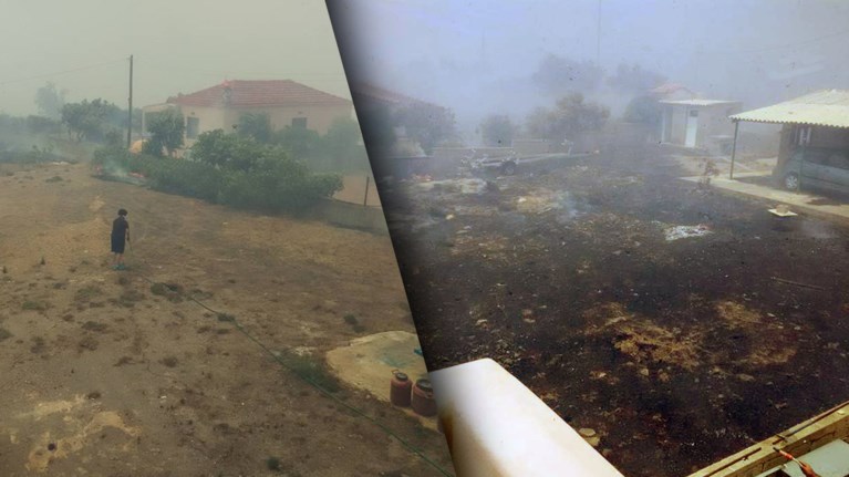 de-feugw-apo-to-bios-mou---fwni-apognwsis-ilikiwmenis-sti-lakwnia