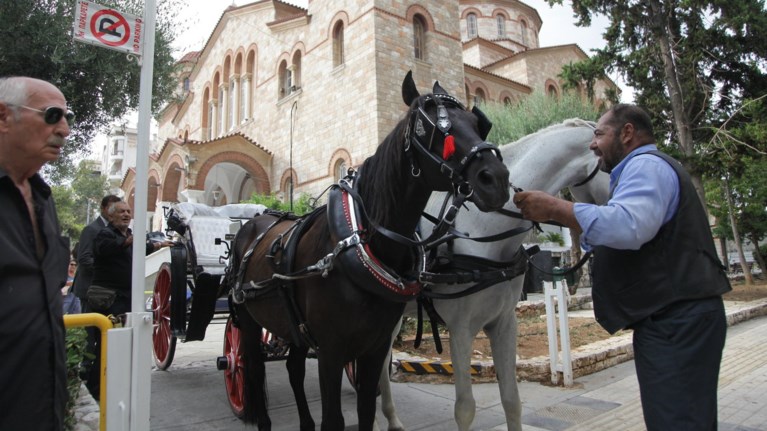 ena-amaksi-me-duo-aloga-stin-kideia-tou-kwsta-birbou