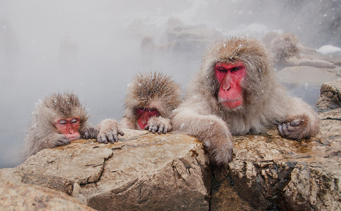 Christopher Yeoh, Australia, Entry, Open, Travel / 2016 Sony World Photography Awards