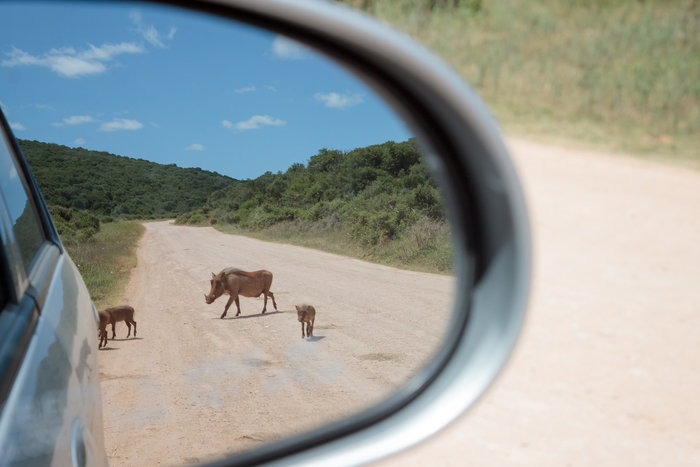Mario Lameiras, Portugal, Entry, Nature & Wildlife / 2016 Sony World Photography Awards
