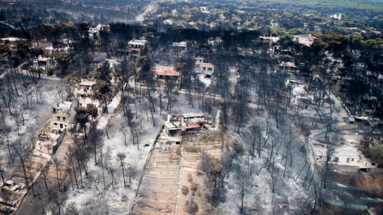 lae-sugkentrwsi-tin-triti-enantia-stis-politikes-pou-kaine-tis-zwes-mas