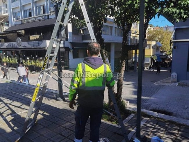 ΛΑΜΙΑ ΠΑΡΚΑΡΙΣΜΑ