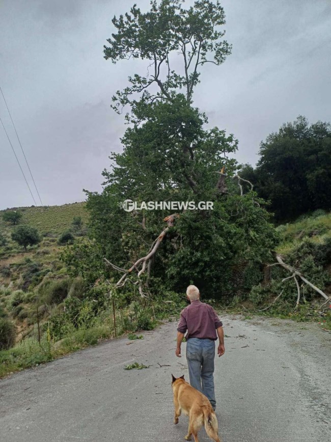 Ξαφνική καταιγίδα στην Αττική, προβλήματα στην Κρήτη λόγω σφοδρών ανέμων: Η πρόγνωση για τις επόμενες ώρες