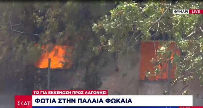 ΦΩΤΙΑ ΘΥΜΑΡΙ