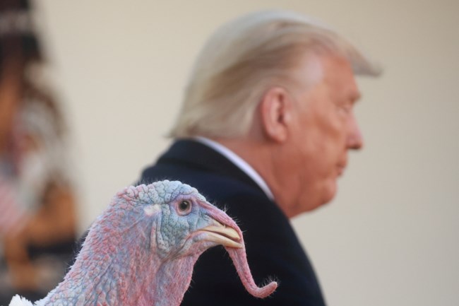 trump