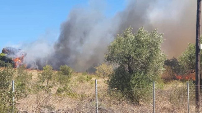 Ραφήνα φωτιά