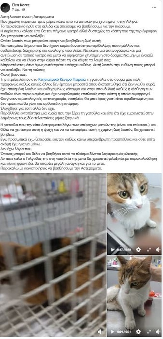 Αυτή λοιπόν είναι η Αστερομάτα: Χαμένη παρέπαιε χτυπημένη  τρεις μέρες κάτω από τα αυτοκίνητα στην Αθήνα