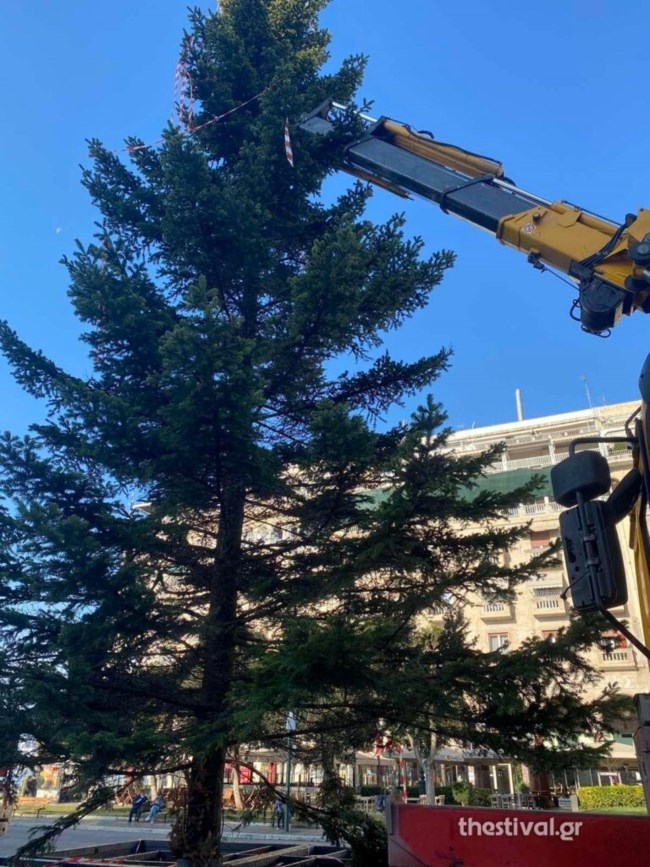 Θεσσαλονίκη: Στήθηκε στην Αριστοτέλους το εντυπωσιακό έλατo 18 μέτρων [Εικόνες]