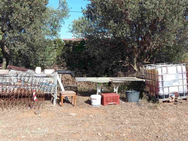 ΡΑΦΗΝΑ ΔΟΛΟΦΟΝΙΑ ΑΜΠΕΛΩΝΑΣ