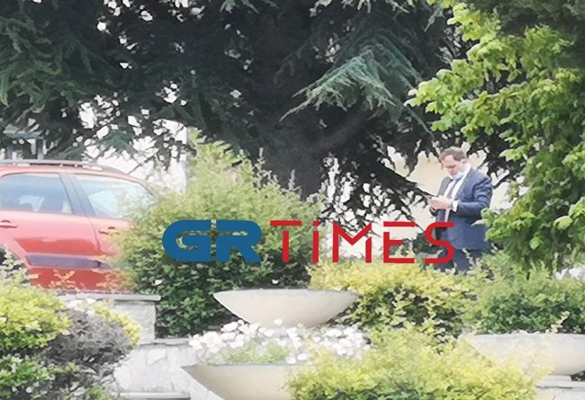 πιτσιλής