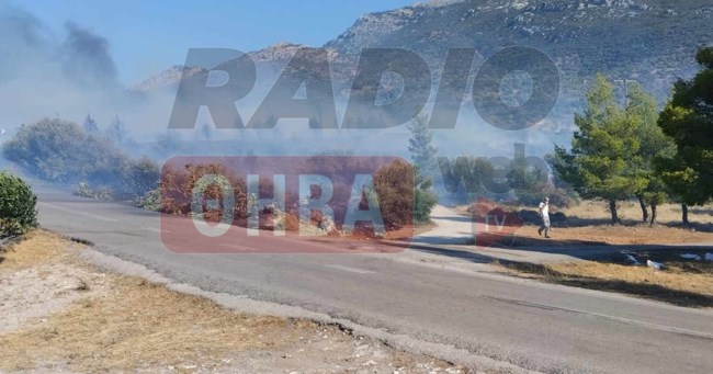 Μεγάλη φωτιά στον Πρόδρομο Βοιωτίας: Εκκενώθηκε η παραλία Σαράντη - Πνέουν άνεμοι 9 μποφόρ