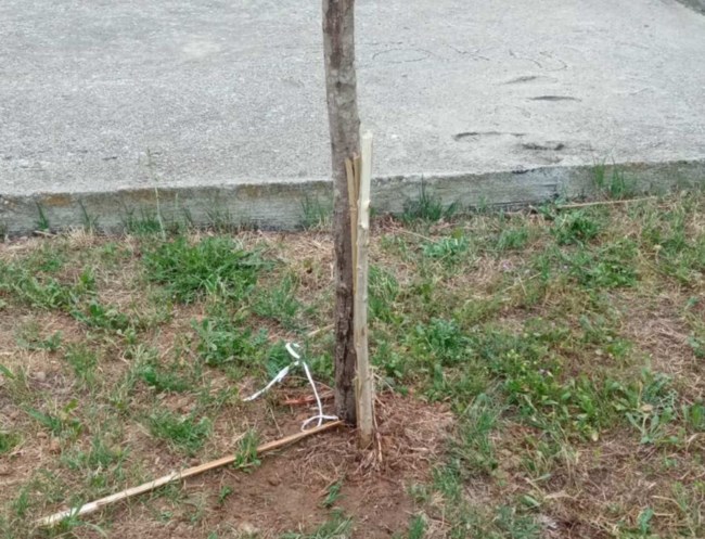 βανδαλοι