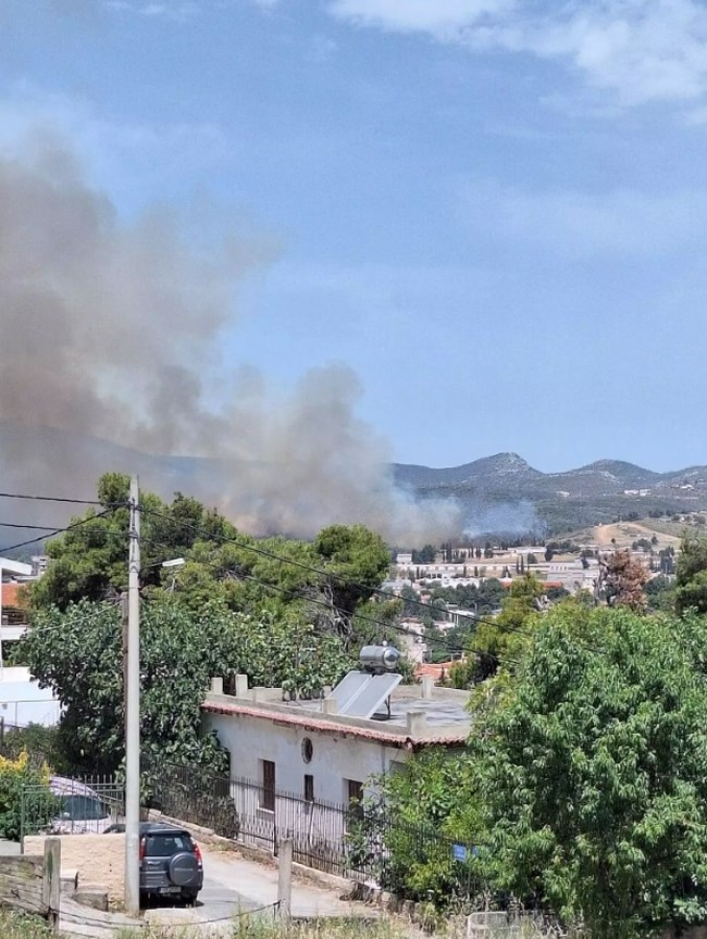 Χωρίς ενεργό μέτωπο η φωτιά στο Κρυονέρι - Μεγάλη κινητοποίηση, έκλεισαν δρόμοι [εικόνες - βίντεο]