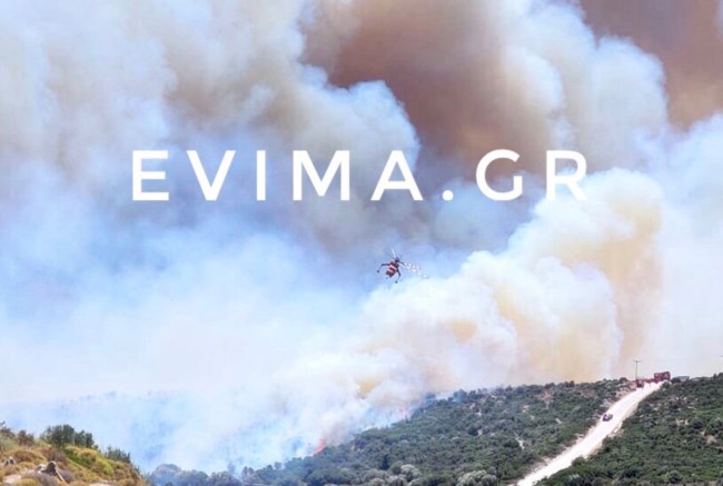 Πρόεδρος Κοινότητας Ραπταίων: Η φωτιά είναι πολύ μεγάλη, καίει μέσα σε χαράδρα [ εικόνες]