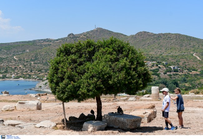 σουνιο
