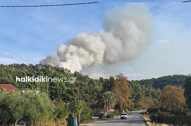 Μεγάλη φωτιά στην Χαλκιδική: Καίγεται πευκοδάσος στη Σιθωνία - Συναγερμός στην Πυροσβεστική [εικόνες-βίντεο]