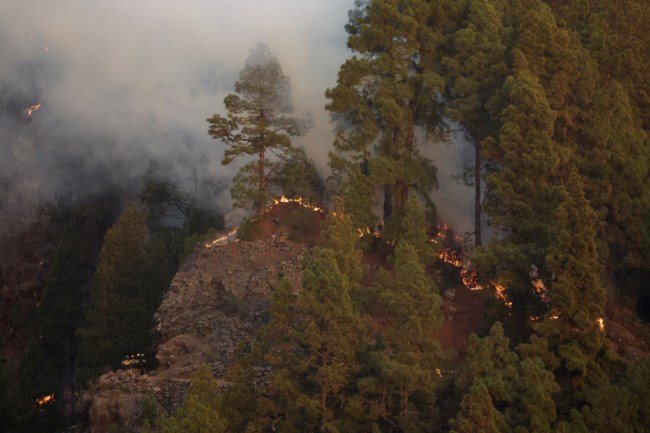 Πυρκαγιές και πρόληψη: Το παράδειγμα της Ισπανίας και η απόγνωση Στυλιανίδη με την ελληνική γραφειοκρατία