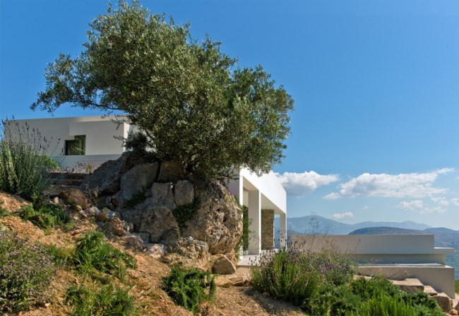 ΕΞΟΧΙΚΗ ΚΑΤΟΙΚΙΑ ΤΟΛΟ