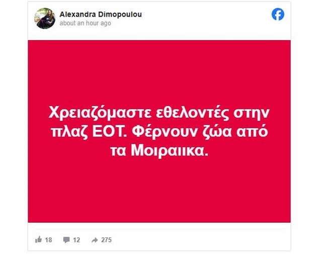 Πάτρα: Έκκληση για εθελοντές στην Πλαζ ΕΟΤ - Μεταφέρονται ζώα από τα Μοιραίικα