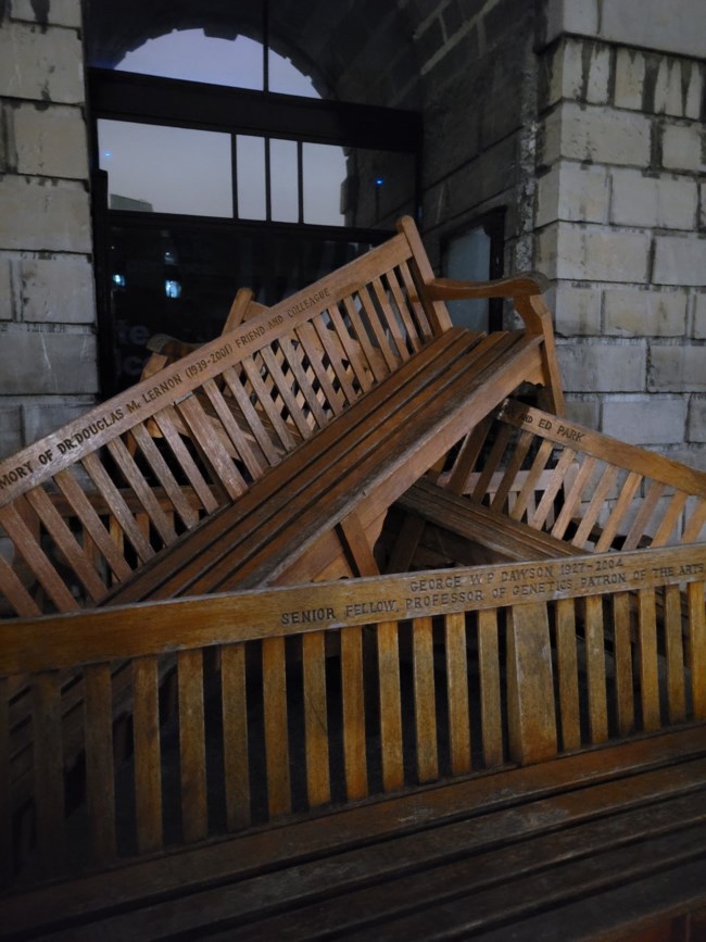 Φιλοπαλαιστινιακές διαδηλώσεις και στο κορυφαίο πανεπιστήμιο Τρίνιτι της Ιρλανδίας: Τσουχτερό πρόστιμο επιβλήθηκε στους φοιτητές