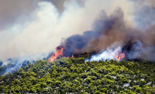 Φωτιά στην Εύβοια