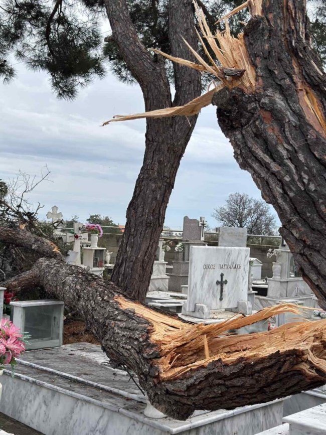 Αλεξανδρούπολη: Πανικός σε πιτσαρία από τους θυελλώδεις ανέμους - Εσπασαν τζάμια, έτρεχαν να σωθούν [βίντεο]