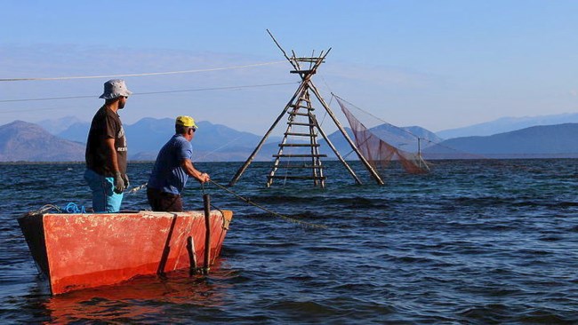 Αυγοτάραχο Κέρκυρα