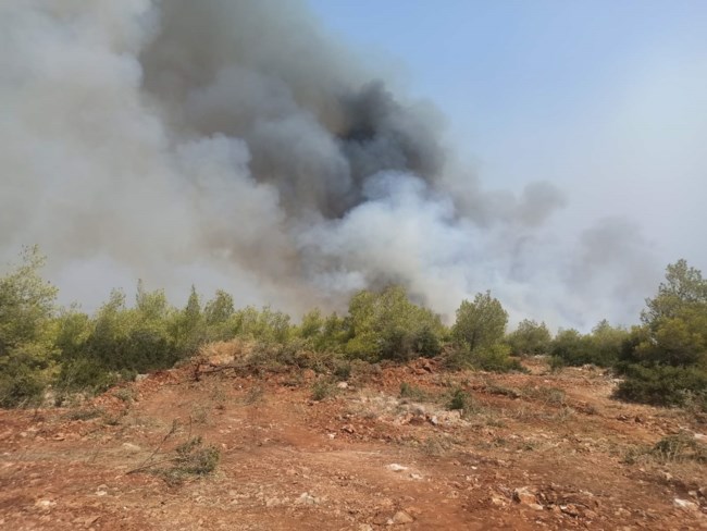 Συναγερμός για τις φωτιές: Μεγάλη αναζωπύρωση μεταξύ Μεγάρων και Μάνδρας - Μήνυμα για εκκένωση τεσσάρων οικισμών