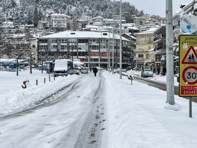 ΚΑΣΤΟΡΙΑ ΧΙΟΝΙΑ