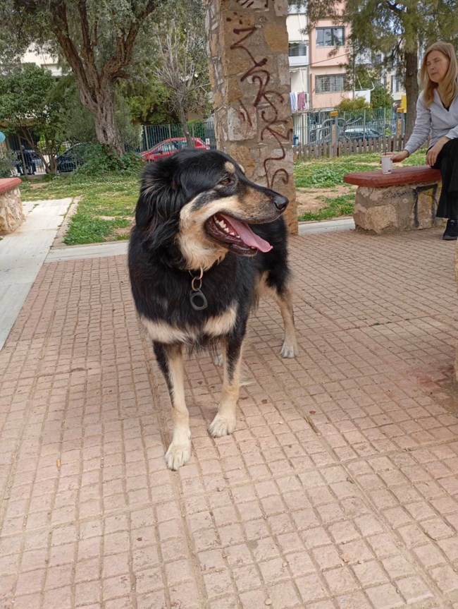 μπενζαμιν