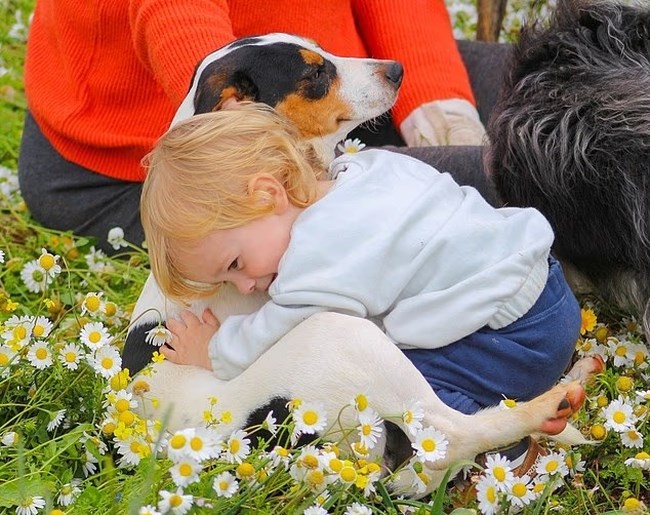 ΖΑΚΥΝΘΟΣ ΤΡΑΦΩΔΙΑ - 2 ΕΤΩΝ ΑΓΟΡΑΚΙ ΝΕΚΡΟ ΑΠΟ ΔΑΓΚΩΜΑ ΠΙΤΜΠΟΥΛ