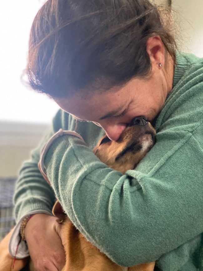 Σώστε ένα αδεσποτάκι: Είμαι ο Τορίνο. Έχω και έναν αδερφό, τον Παλέρμο, αλλά πρόλαβα να συστηθώ πρώτος