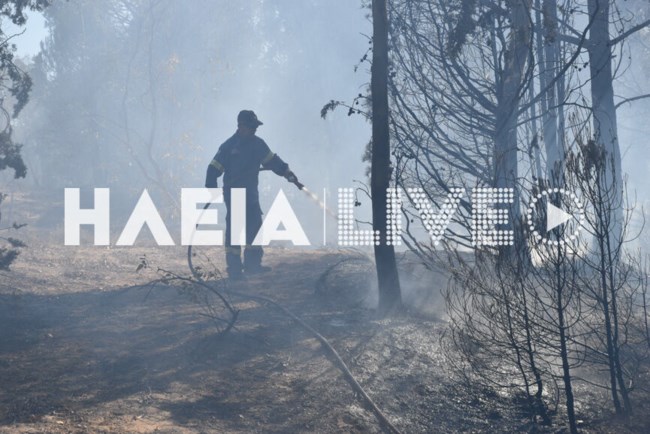 Πυρκαγιά στο δάσος των Θινών