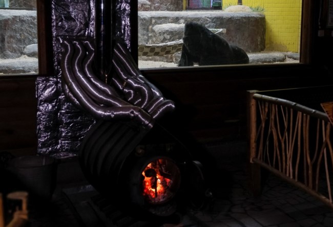 Ρωσικά πλήγματα: Ο ζωολογικός κήπος του Κιέβου αγωνίζεται να κρατήσει τα ζώα σε συνθήκες ζεστασιάς