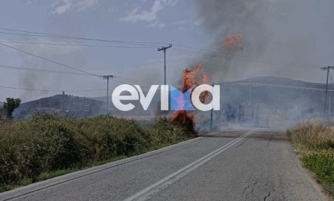 ΦΩΤΙΑ ΑΛΙΒΕΡΙ