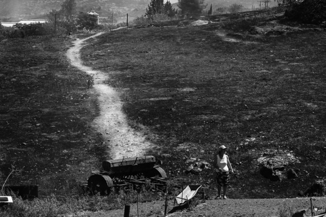 Ξέφυγε πάλι η φωτιά στη Μαγνησία λόγω των θυελλωδών ανέμων - Μήνυμα του 112, εκκενώνονται εννέα οικισμοί
