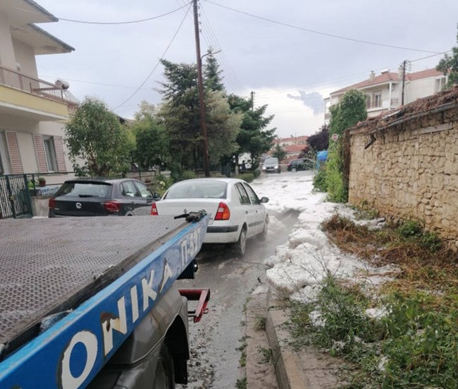 ςεε