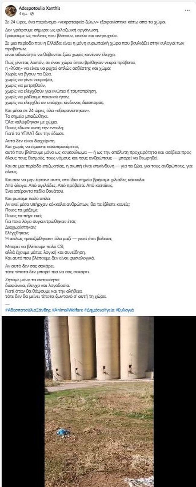 adespotoylia ξανθης