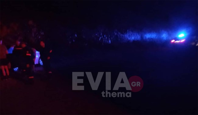 Συναγερμός στη Λίμνη Ευβοίας: Αυτοκίνητο με 4 επιβάτες έπεσε σε γκρεμό