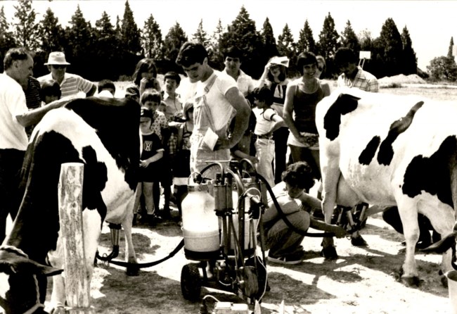 Αμερικανική Γεωργική Σχολή: Με 120 χρόνια εμπειρίας επενδύει στο μέλλον της παραγωγής γάλακτος στην Ελλάδα