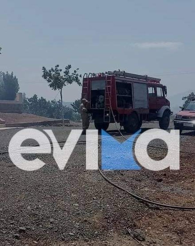 Συναγερμός στην Εύβοια: Ξέσπασαν δύο φωτιές στα Πολιτικά [εικόνες]