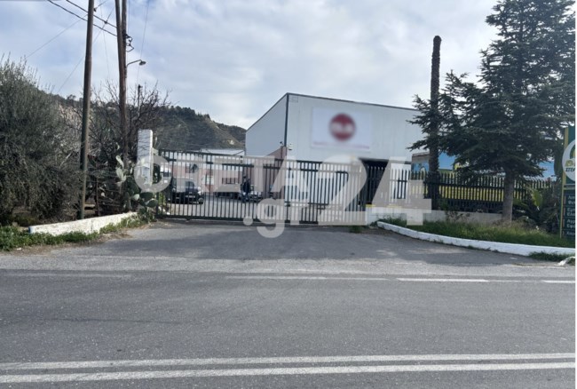 Βεντέτα πίσω από τους πυροβολισμούς στο Ηράκλειο - Στο νοσοκομείο εργαζόμενος από αδέσποτη σφαίρα