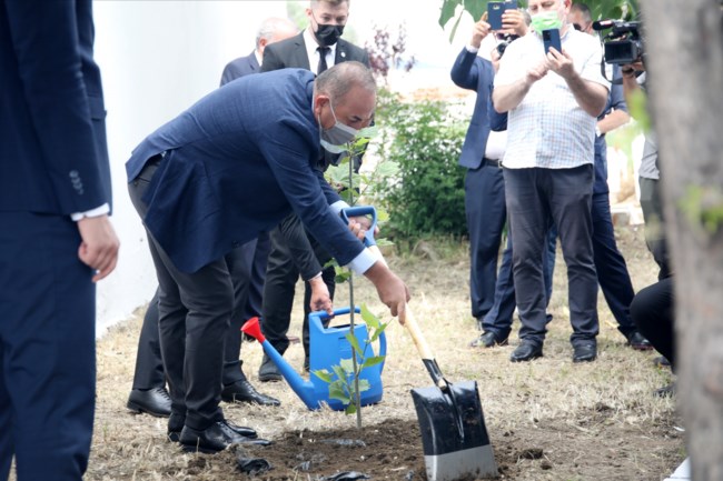 Τσαβούσογλου