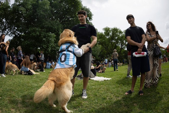 Παγκόσμιο ρεκόρ: Τι μπορεί να συμβεί όταν 2.397 γκόλντεν ριτρίβερ πηγαίνουν στο ίδιο πάρκο την ίδια στιγμή