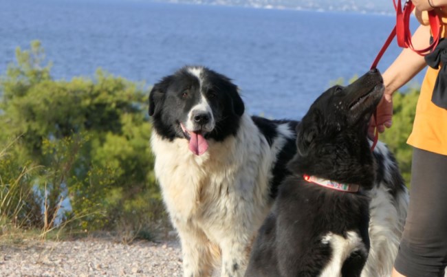 Γιατί να κάθομαι αφού μπορώ να είμαι ξαπλωμένος - Καταλαβαίνετε τι έχουμε πάθει με τον Φοίβο;