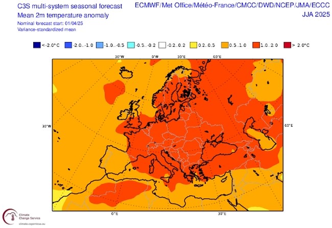 χαρτης