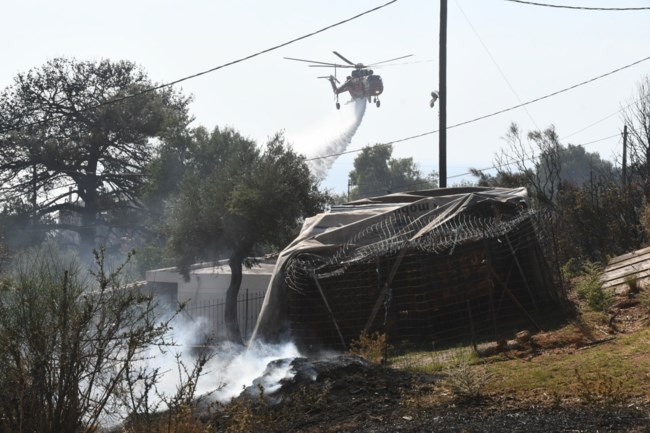 Φωτιά στην Πάτρα: Προσαγωγή γυναίκας που απειλούσε ότι θα κάψει την περιοχή του Γηροκομειού και το Κωνσταντοπούλειο