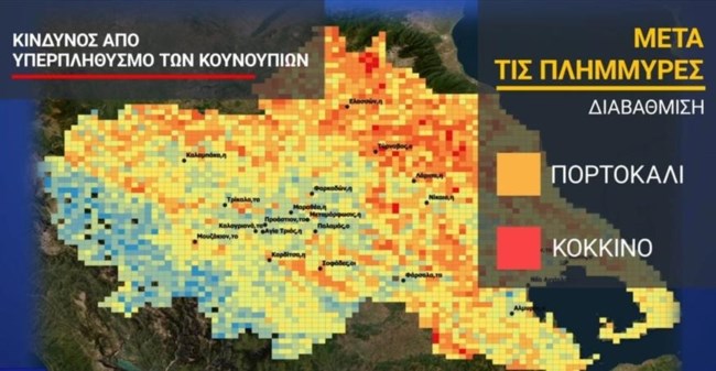 χαρτης