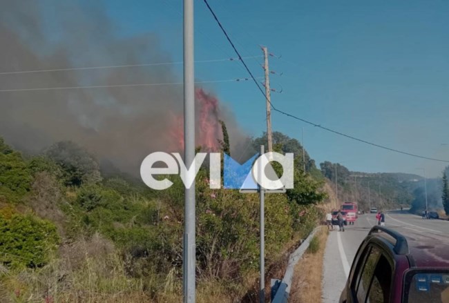 Φωτιά στην Εύβοια: Πυρκαγιά στον Αλμυροπόταμο - Σηκώθηκαν τρία εναέρια μέσα [εικόνες]